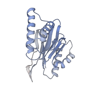 4738_6r70_J_v1-4
Endogeneous native human 20S proteasome