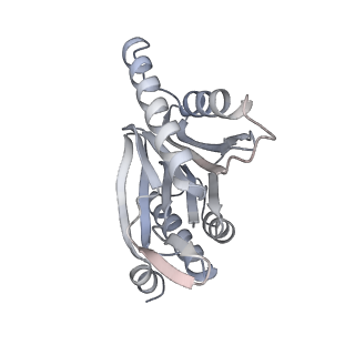 4738_6r70_K_v1-4
Endogeneous native human 20S proteasome