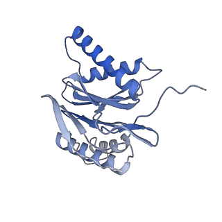 4738_6r70_L_v1-4
Endogeneous native human 20S proteasome