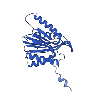 4738_6r70_M_v1-4
Endogeneous native human 20S proteasome