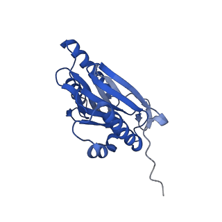4738_6r70_N_v1-4
Endogeneous native human 20S proteasome