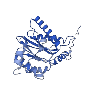 4738_6r70_O_v1-4
Endogeneous native human 20S proteasome