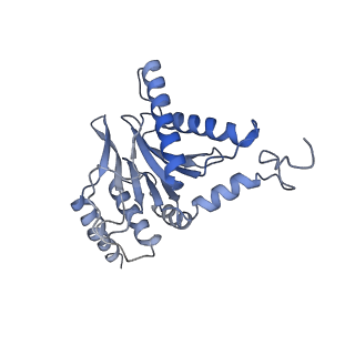 4738_6r70_P_v1-4
Endogeneous native human 20S proteasome