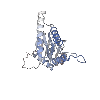 4738_6r70_Q_v1-4
Endogeneous native human 20S proteasome