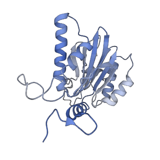 4738_6r70_R_v1-4
Endogeneous native human 20S proteasome