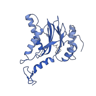 4738_6r70_S_v1-4
Endogeneous native human 20S proteasome