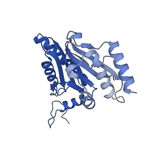 4738_6r70_T_v1-4
Endogeneous native human 20S proteasome