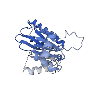 4738_6r70_U_v1-4
Endogeneous native human 20S proteasome