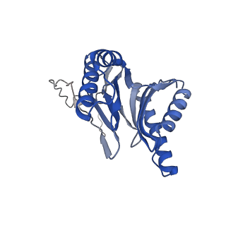 4738_6r70_V_v1-4
Endogeneous native human 20S proteasome