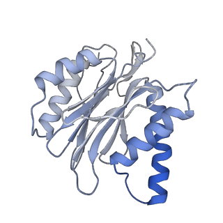 4738_6r70_W_v1-4
Endogeneous native human 20S proteasome