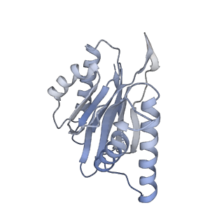 4738_6r70_X_v1-4
Endogeneous native human 20S proteasome
