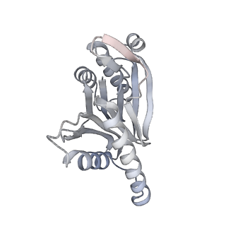 4738_6r70_Y_v1-4
Endogeneous native human 20S proteasome