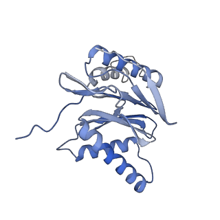 4738_6r70_Z_v1-4
Endogeneous native human 20S proteasome