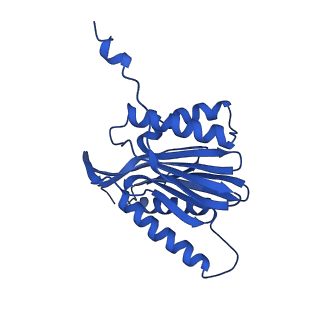 4738_6r70_a_v1-4
Endogeneous native human 20S proteasome
