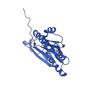 4738_6r70_b_v1-4
Endogeneous native human 20S proteasome
