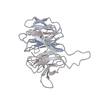 4745_6r7q_6_v1-0
Structure of XBP1u-paused ribosome nascent chain complex with Sec61.
