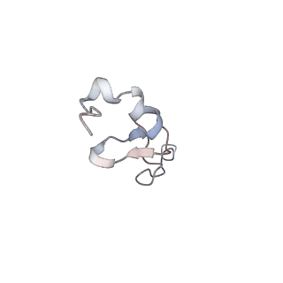 4745_6r7q_9_v1-0
Structure of XBP1u-paused ribosome nascent chain complex with Sec61.