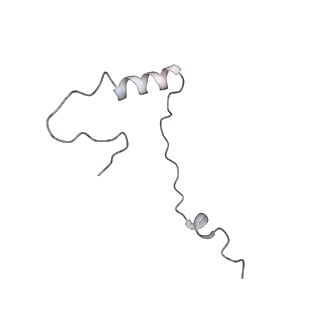 4745_6r7q_AA_v1-0
Structure of XBP1u-paused ribosome nascent chain complex with Sec61.