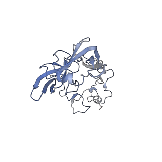4745_6r7q_A_v1-0
Structure of XBP1u-paused ribosome nascent chain complex with Sec61.