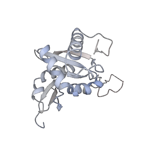 4745_6r7q_BB_v1-0
Structure of XBP1u-paused ribosome nascent chain complex with Sec61.