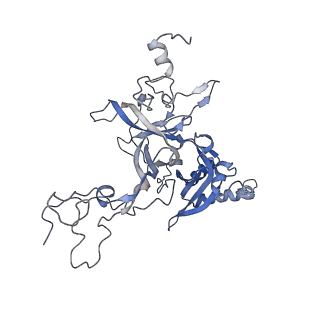 4745_6r7q_B_v1-0
Structure of XBP1u-paused ribosome nascent chain complex with Sec61.