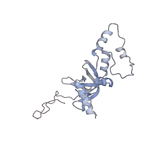 4745_6r7q_CC_v1-0
Structure of XBP1u-paused ribosome nascent chain complex with Sec61.