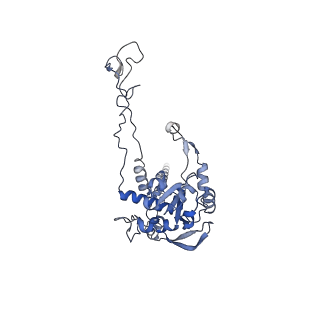 4745_6r7q_C_v1-0
Structure of XBP1u-paused ribosome nascent chain complex with Sec61.