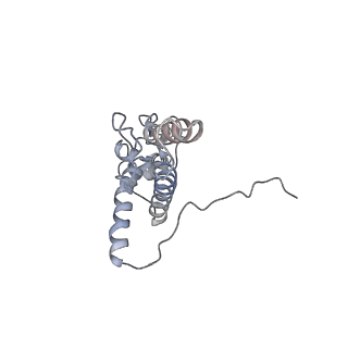 4745_6r7q_DD_v1-0
Structure of XBP1u-paused ribosome nascent chain complex with Sec61.