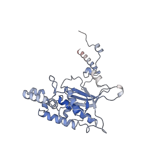 4745_6r7q_D_v1-0
Structure of XBP1u-paused ribosome nascent chain complex with Sec61.