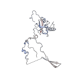 4745_6r7q_E_v1-0
Structure of XBP1u-paused ribosome nascent chain complex with Sec61.