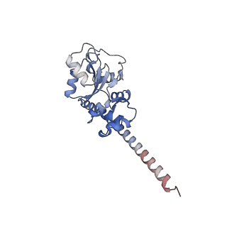 4745_6r7q_F_v1-0
Structure of XBP1u-paused ribosome nascent chain complex with Sec61.