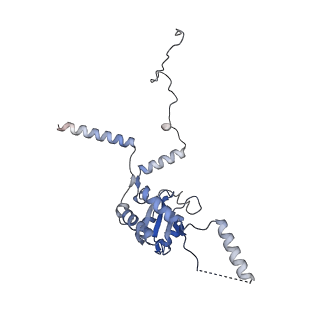 4745_6r7q_G_v1-0
Structure of XBP1u-paused ribosome nascent chain complex with Sec61.