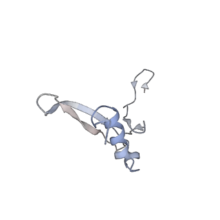 4745_6r7q_HH_v1-0
Structure of XBP1u-paused ribosome nascent chain complex with Sec61.