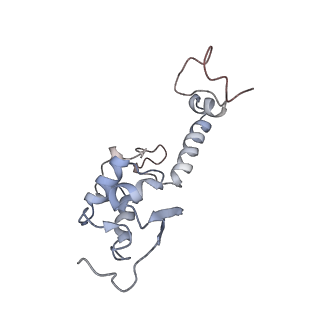 4745_6r7q_II_v1-0
Structure of XBP1u-paused ribosome nascent chain complex with Sec61.