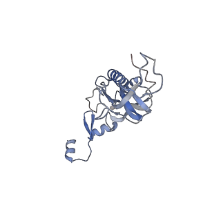 4745_6r7q_I_v1-0
Structure of XBP1u-paused ribosome nascent chain complex with Sec61.