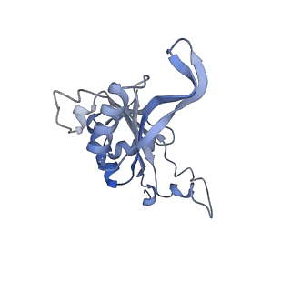 4745_6r7q_J_v1-0
Structure of XBP1u-paused ribosome nascent chain complex with Sec61.