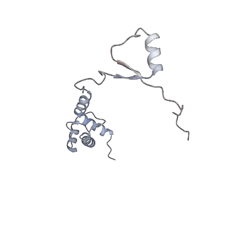 4745_6r7q_KK_v1-0
Structure of XBP1u-paused ribosome nascent chain complex with Sec61.