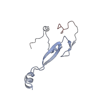 4745_6r7q_LL_v1-0
Structure of XBP1u-paused ribosome nascent chain complex with Sec61.