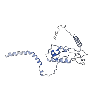 4745_6r7q_L_v1-0
Structure of XBP1u-paused ribosome nascent chain complex with Sec61.