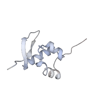 4745_6r7q_OO_v1-0
Structure of XBP1u-paused ribosome nascent chain complex with Sec61.