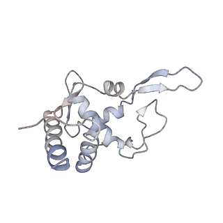 4745_6r7q_PP_v1-0
Structure of XBP1u-paused ribosome nascent chain complex with Sec61.