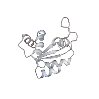 4745_6r7q_RR_v1-0
Structure of XBP1u-paused ribosome nascent chain complex with Sec61.