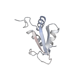 4745_6r7q_SS_v1-0
Structure of XBP1u-paused ribosome nascent chain complex with Sec61.