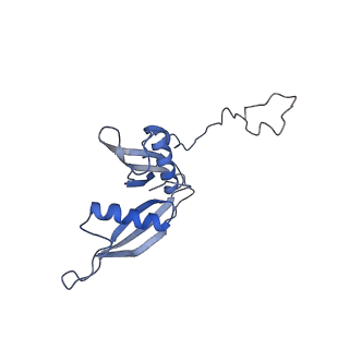 4745_6r7q_S_v1-0
Structure of XBP1u-paused ribosome nascent chain complex with Sec61.