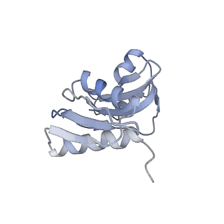 4745_6r7q_TT_v1-0
Structure of XBP1u-paused ribosome nascent chain complex with Sec61.
