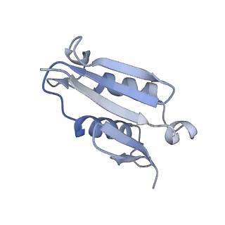 4745_6r7q_U_v1-0
Structure of XBP1u-paused ribosome nascent chain complex with Sec61.