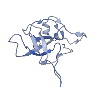 4745_6r7q_V_v1-0
Structure of XBP1u-paused ribosome nascent chain complex with Sec61.