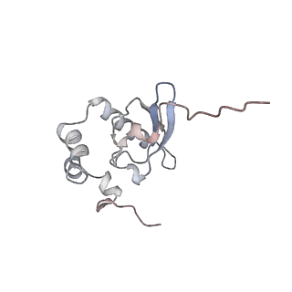 4745_6r7q_WW_v1-0
Structure of XBP1u-paused ribosome nascent chain complex with Sec61.