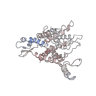 4745_6r7q_XX_v1-0
Structure of XBP1u-paused ribosome nascent chain complex with Sec61.