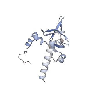 4745_6r7q_Y_v1-0
Structure of XBP1u-paused ribosome nascent chain complex with Sec61.